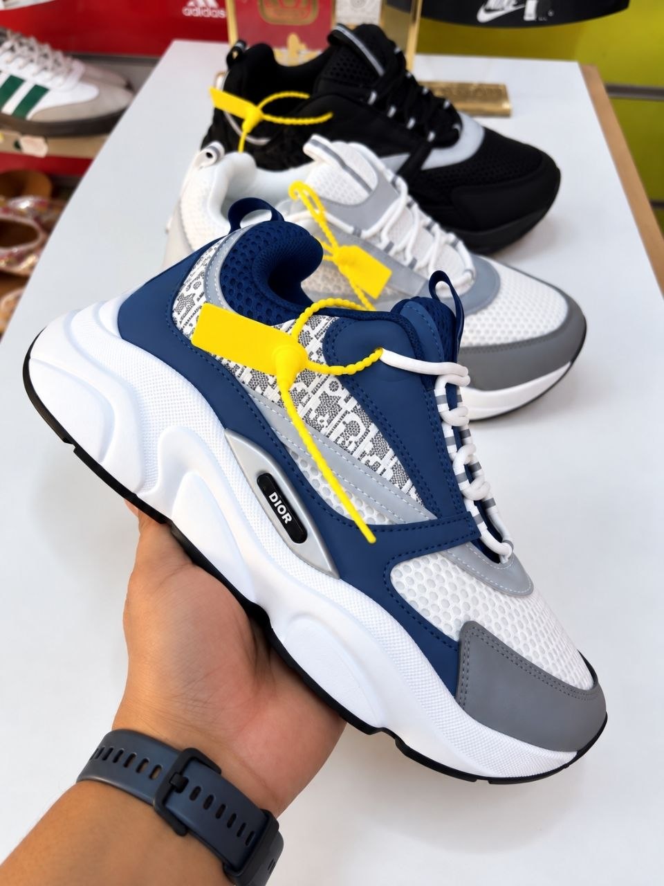Dior B22