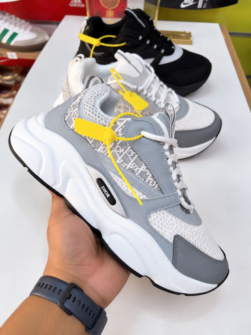Dior B22